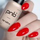Гел лак PNB 8 мл 147